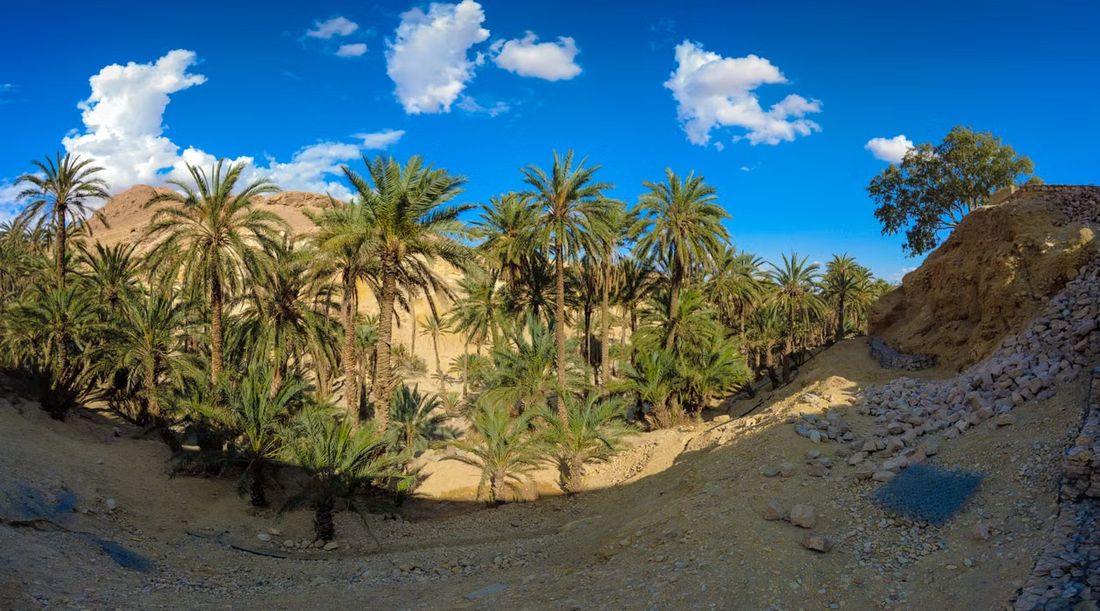 Oasis de Fint